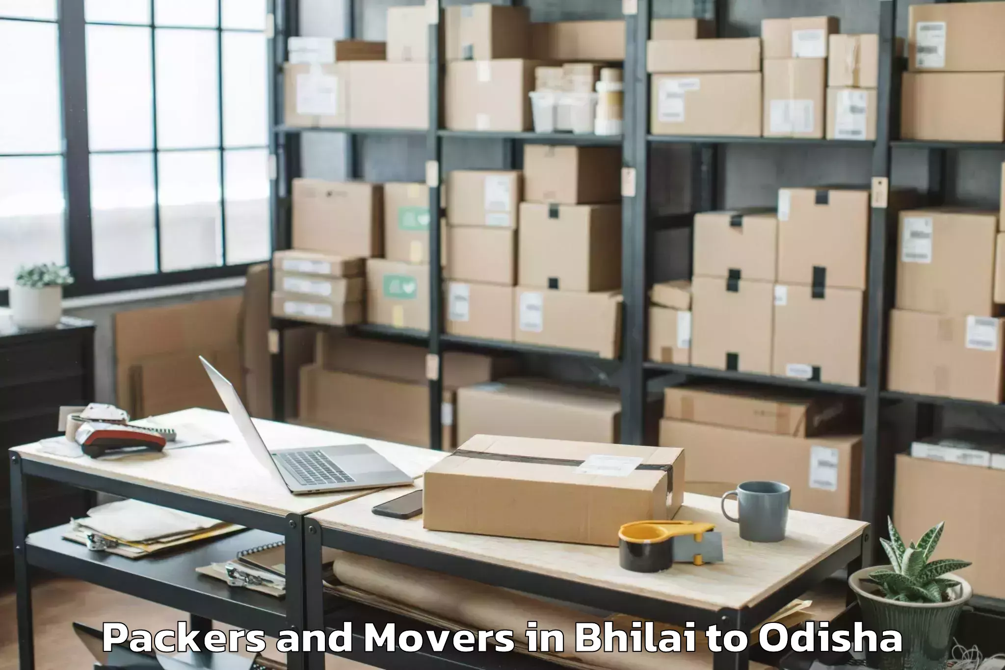 Get Bhilai to Bampada Packers And Movers